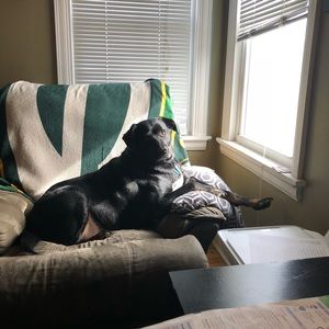 Meet your Posher, Bobby